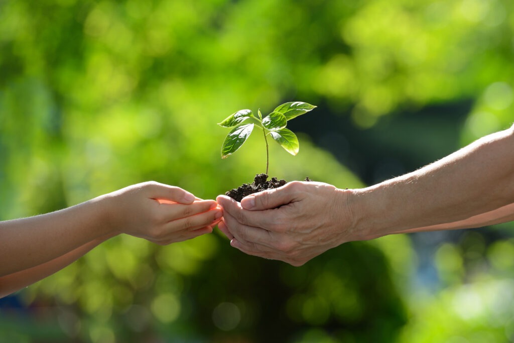 zero emission green plant to child